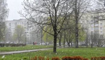 Холод и снег в Петербурге 12 мая