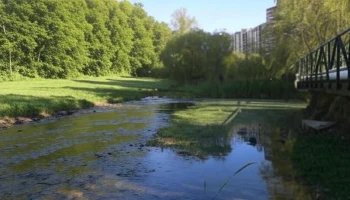 Завершение благоустройства парка «Каменка» в Новосибирске запланировано на ноябрь 2025 года