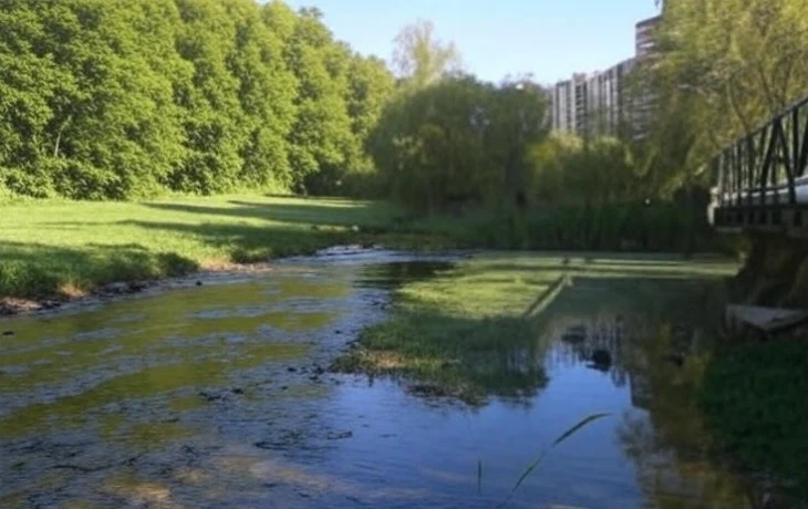 Завершение благоустройства парка «Каменка» в Новосибирске запланировано на ноябрь 2025 года Завершение благоустройства парка «Каменка» в Новосибирске запланировано на ноябрь 2025 года