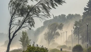 На Кубани 4 сентября ожидаются жара до +31 °C, туман и сильный ветер