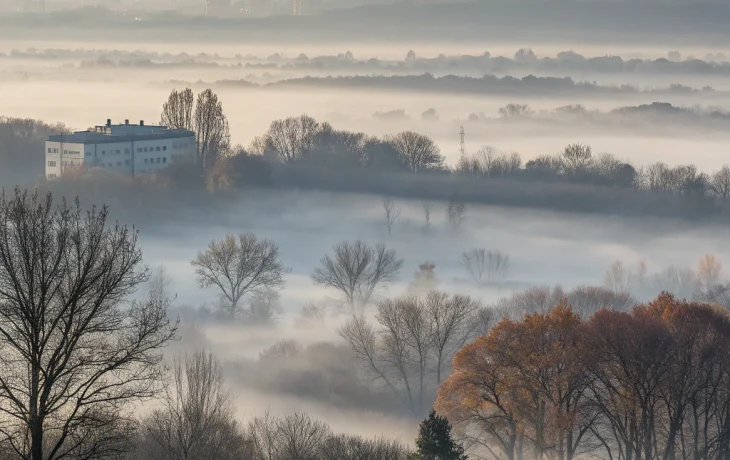 Теплый и ясный День народного единства: на Кубани ожидается до +22 °С и туманы утром