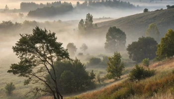 Туман и сильный ветер ожидаются в Краснодарском крае 22 сентября